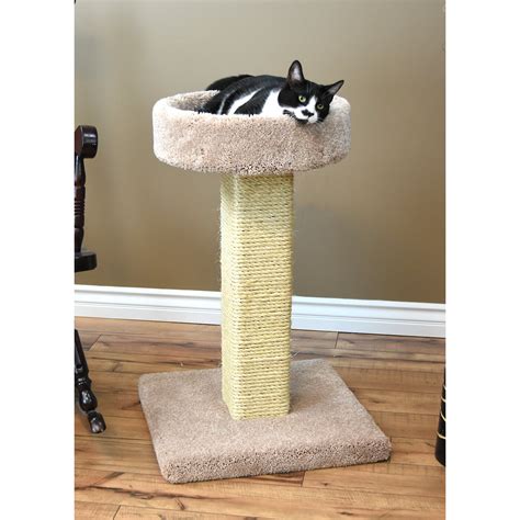 Cat trees offer your cats the opportunity to climb and play, as well as to perch 'above' the human activity occurring in your home. Prestige Cat Trees 32" Prestige Solid Wood Large Cat Tree ...