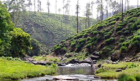 Valparai Hill Station In Tamil Nadu Summer Getaways From Bangalore