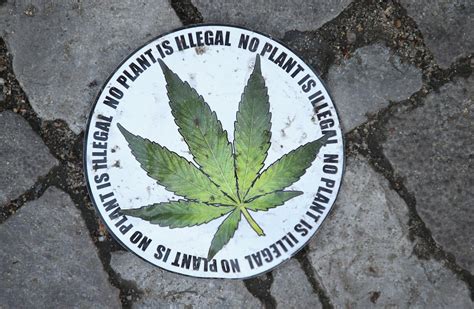 Marijuana Legalization: 8 Charts Tell Us Everything We ...