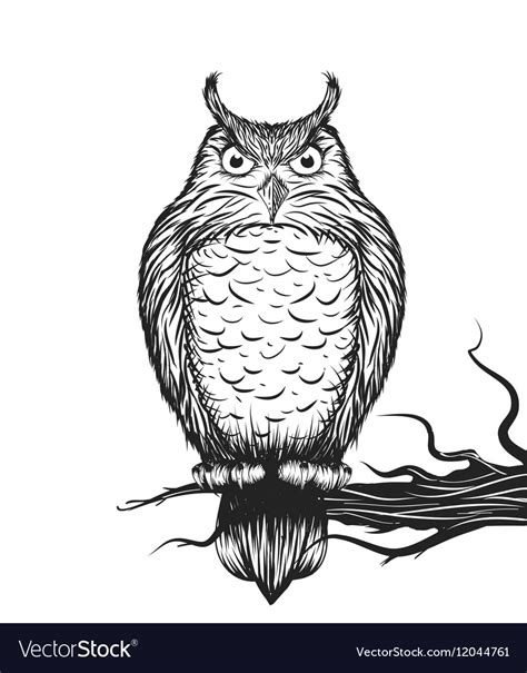 Owl Is Sitting On The Branch Royalty Free Vector Image