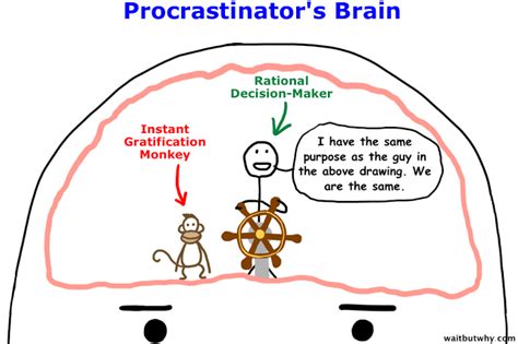 Tim urban knows that procrastination doesn't make sense, but he's never been able to shake his habit of waiting until the last minute to get things done. Why Procrastinators Procrastinate | HuffPost