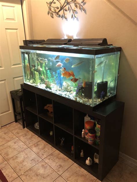 110 Gallon Fish Tank For Sale In Mesa Az Offerup