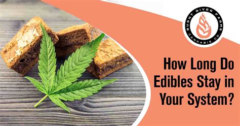 How Long Do Edibles Stay In Your System Understanding Edibles