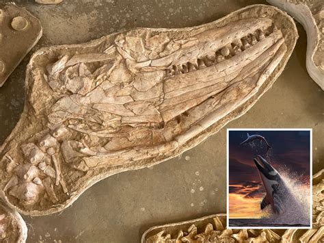 Ancient Violent Sea Monster Discovered Alongside Its Victims