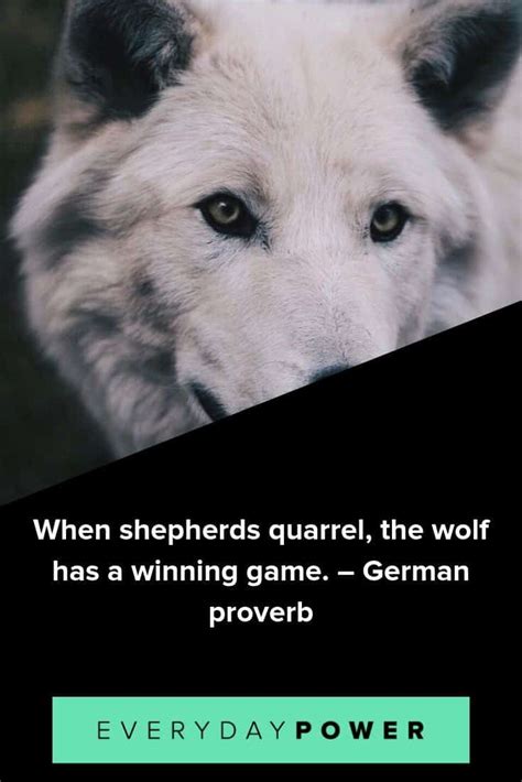 60 Wolf Quotes Sayings And Proverbs Celebrating Your Instinct 2021
