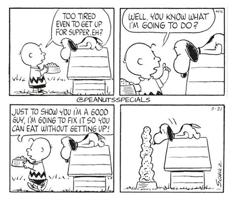 Cartoon Jokes Funny Cartoons Funny Jokes Snoopy Love Snoopy And Woodstock Peanuts Comic