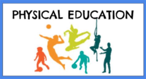 Studysection Blog What Is Physical Education And Its Importance