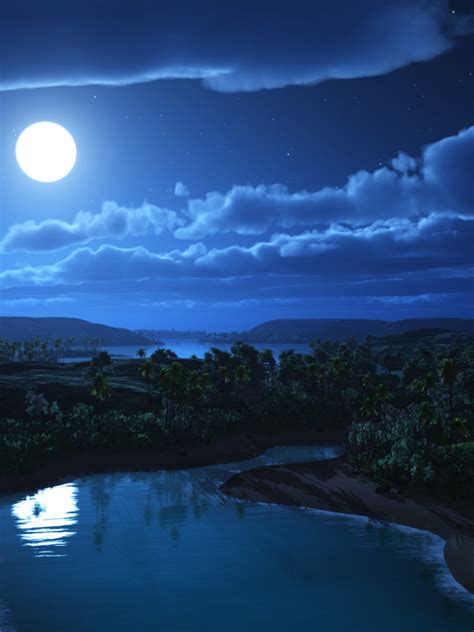 Free Download Art Night Moon Landscape Hills Palm Trees River House