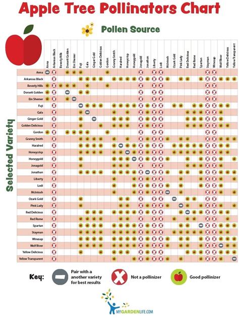 Plum Cross Pollination Chart