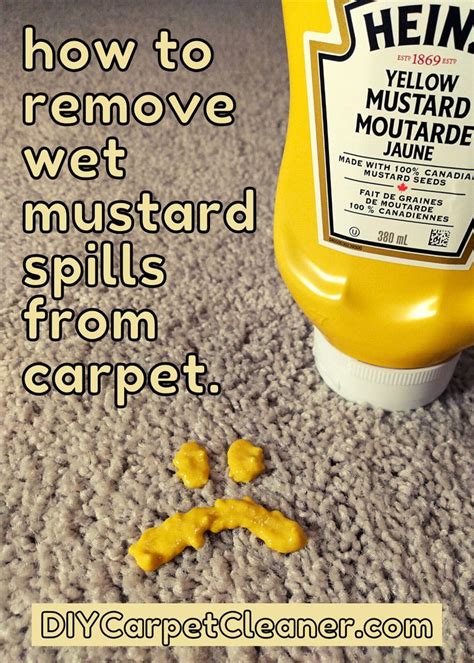 How To Remove Wet Mustard Spills From Carpet Stain Remover Carpet