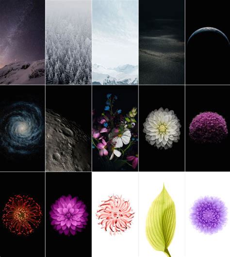 So, if you like the ios 15 wallpaper, you can grab its wallpapers from the given download link. Download 15 Official iOS 8 Wallpapers (Wallpaper Pack ...