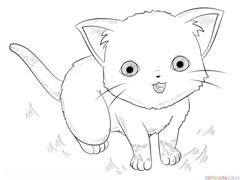 How To Draw An Anime Cat Step By Step Drawing Tutorials