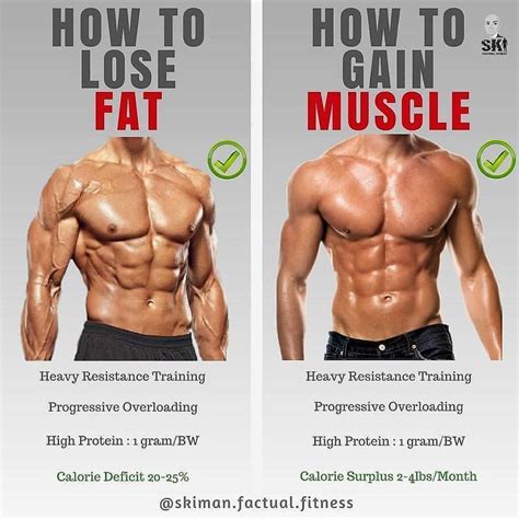 Pin By Mohd Fadli On Bodybuilding Lose Fat Gain Muscle Gym Tips