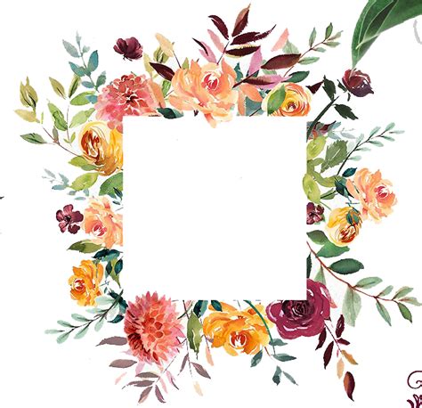 Watercolor Hand Drawn Abstract Flower Png Free Png