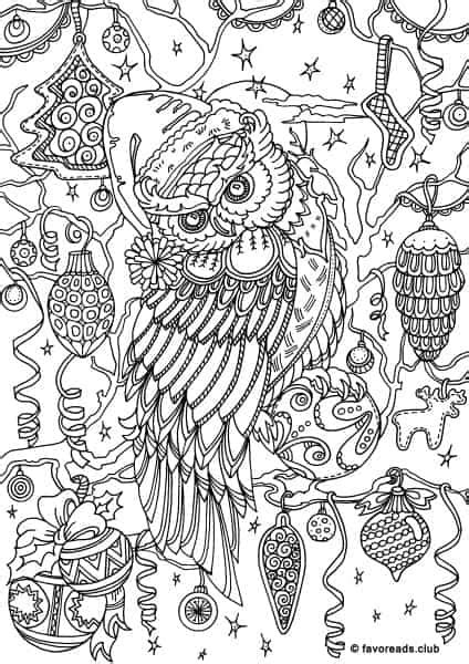 Christmas Joy Winter Owl Printable Adult Coloring
