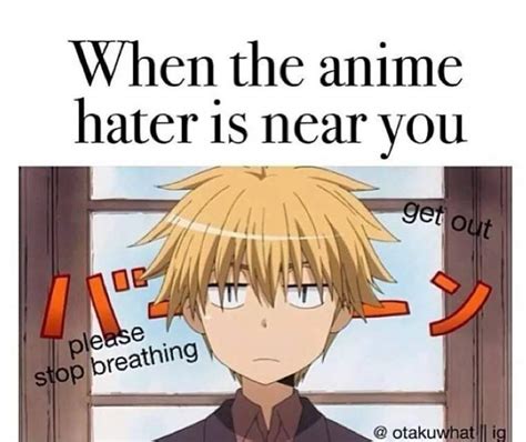 Anime Haters Anime Amino