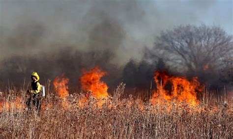 Reporte Oficial Por Los Incendios En Argentina Quedan Cinco Provincias