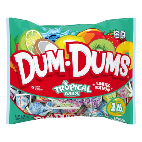 Buy Dum Dums Limited Edition Assorted Pops 16 Oz Online At Lowest