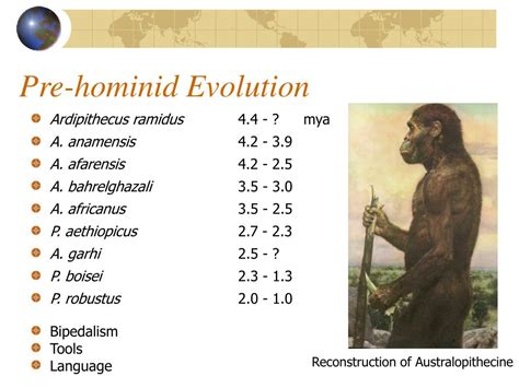 Ppt Chapter 2 Human Evolution Powerpoint Presentation Free