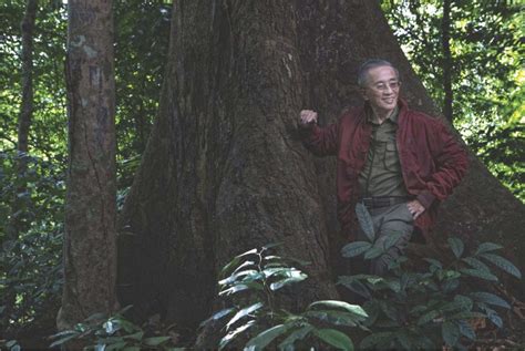 Lopez Group celebrates 9 lives of OML’s environmental legacy