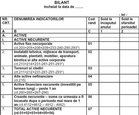 Intocmirea Situatiilor Financiare