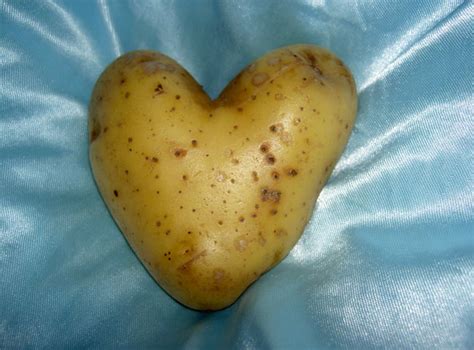 Free Potato Love Stock Photo