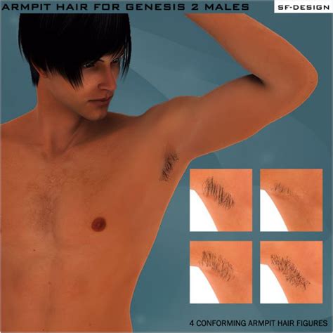 This has got to be a whole new level of insecurity on tsr, come on now. Armpit Hair for Genesis 2 Males | Hair for Poser and Daz ...