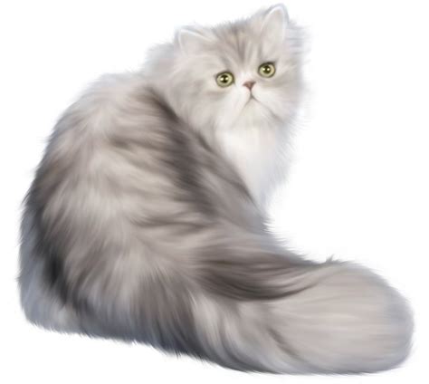Cat Sitting Png Download Png Image Catpng50528png