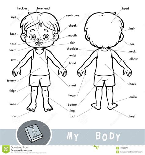 Check spelling or type a new query. Visual Dictionary About The Human Body. My Body Parts For ...
