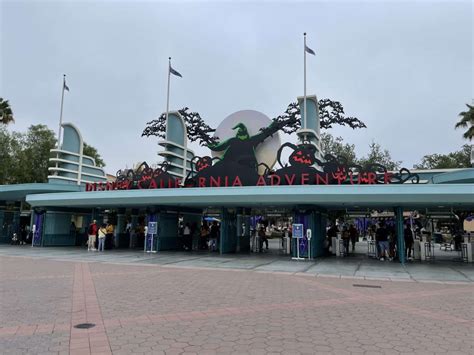 Drunk Guests Harass Disney Staff Member Gets Kicked Out Of Theme Park