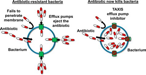 Tackling Resistance In Multidrug Resistant Bacterial Infections