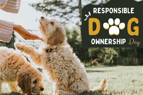 Responsible Dog Ownership Day Third Saturday Of September
