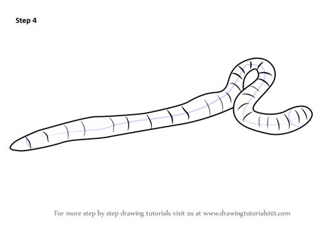 How To Draw An Earthworm Worms Step By Step