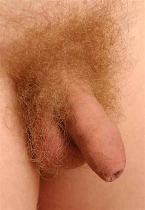 Nice Crop Of Pubic Hair Photo Album By Retired2