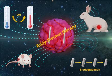 Schematic Illustration Image Eurekalert Science News Releases