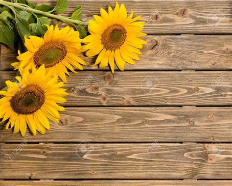 Rustic Sunflower Wallpapers - Top Free Rustic Sunflower Backgrounds - WallpaperAccess