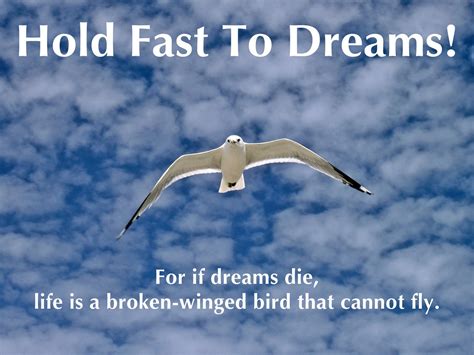 Hold Fast To Dreams Free Stock Photo Public Domain Pictures