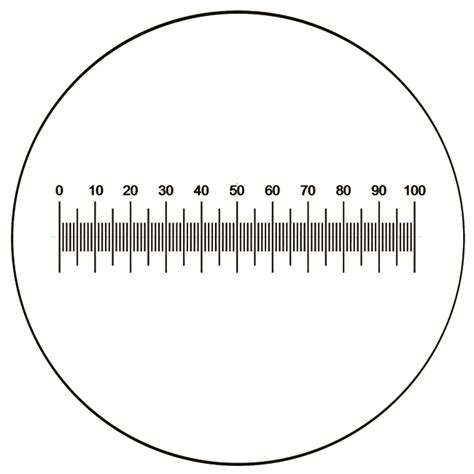 Horizontal Micrometer Scale 10mm 21mm
