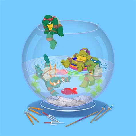 Cute Cartoon Turtle Wallpapers Top Free Cute Cartoon Turtle