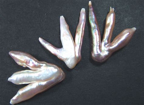 Chicken Feet Keshi Pearls High Luster 50cts Pf373