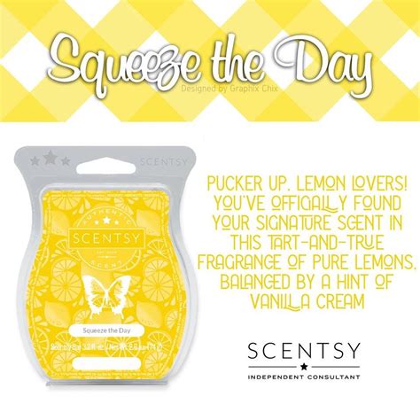 Squeeze The Day Scentsy Bar Scentsy Scentsy Bars Fragrance