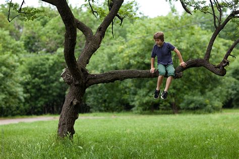 Boy Playing On The Tree By Mosuno Stocksy United