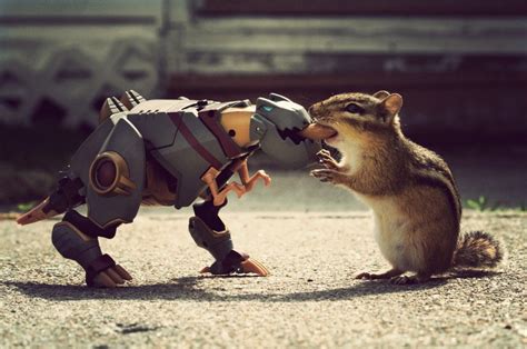 Psbattle Squirrel And Robot Sharing A Nut Rphotoshopbattles