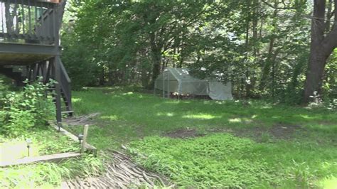 ME family struggling to find affordable housing rented a backyard