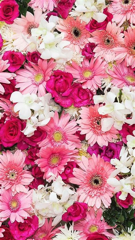 Pin By Debbie Morrison On Fondos Pink Flowers Wallpaper Flower