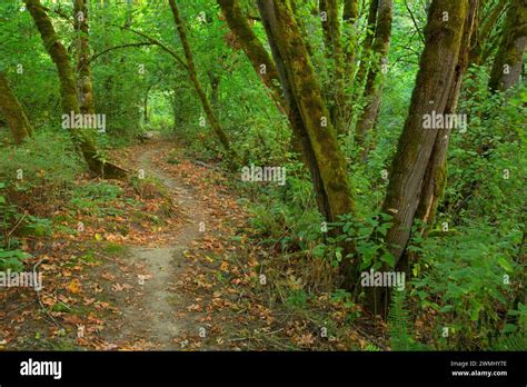 Tcc trail hi-res stock photography and images - Alamy