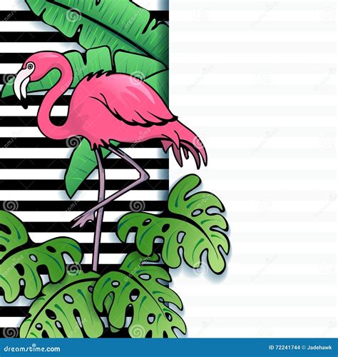 Vibrant Tropical Banner With Flamingo Stock Vector Illustration Of