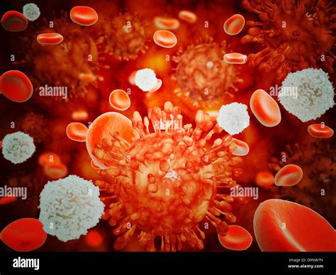 White Blood Cell Attack Hi Res Stock Photography And Images Alamy