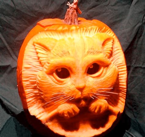 20 30 halloween pumpkin cat carving