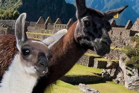 cusco to machu picchu private full day tour with admission 2023
